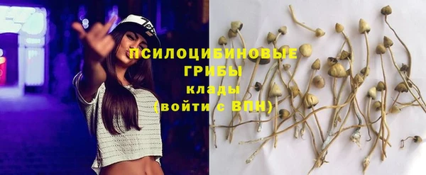 стафф Елабуга