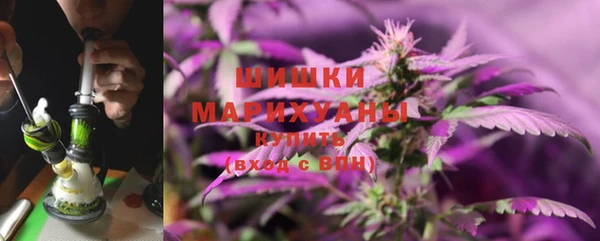 трава Ельня