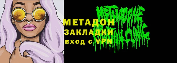 трава Ельня