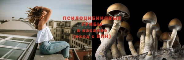 винт Фурманов