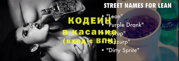трава Ельня