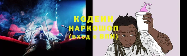 дурь Елизово