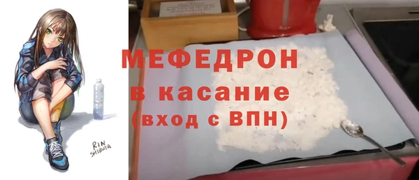 трава Ельня