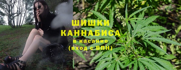 стафф Елабуга