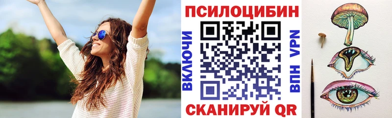 Псилоцибиновые грибы мицелий  Купить где  Туран 